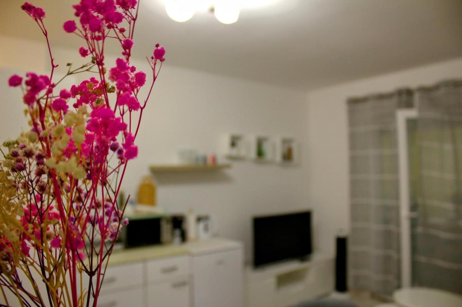 Apartment Danijela Zadar Exteriör bild